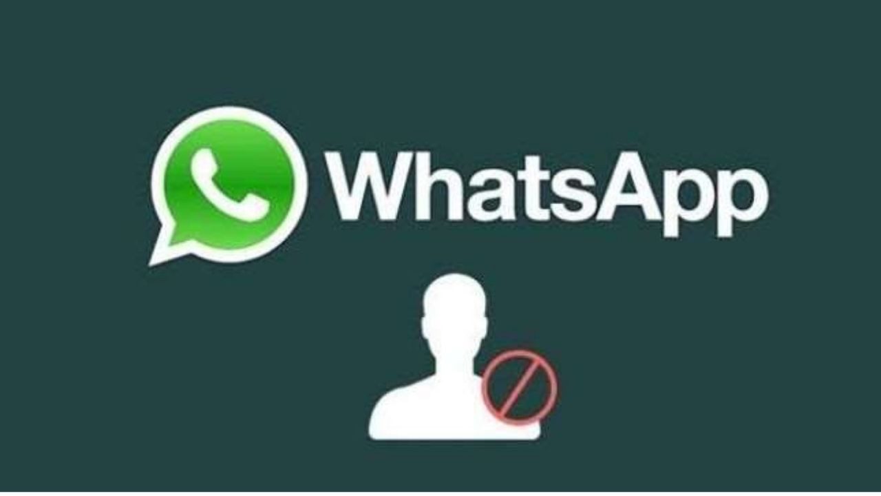 Whatsapp Ban Review / 1
