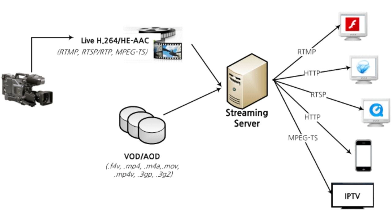 Real-time Streaming Protocol