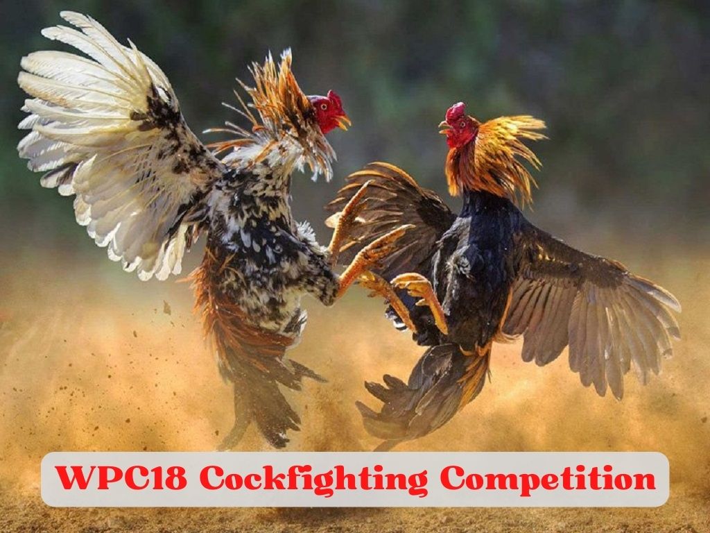 WPC18 Cockfighting Competition