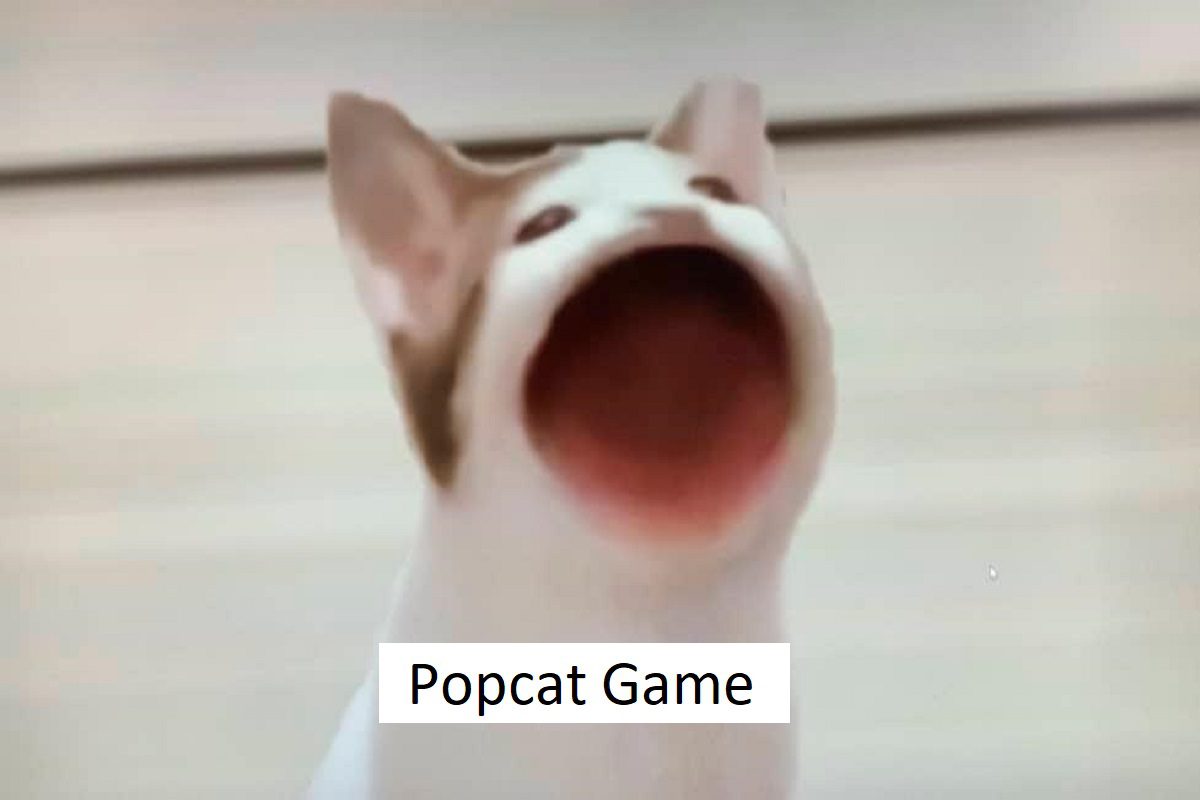 Popcat Game