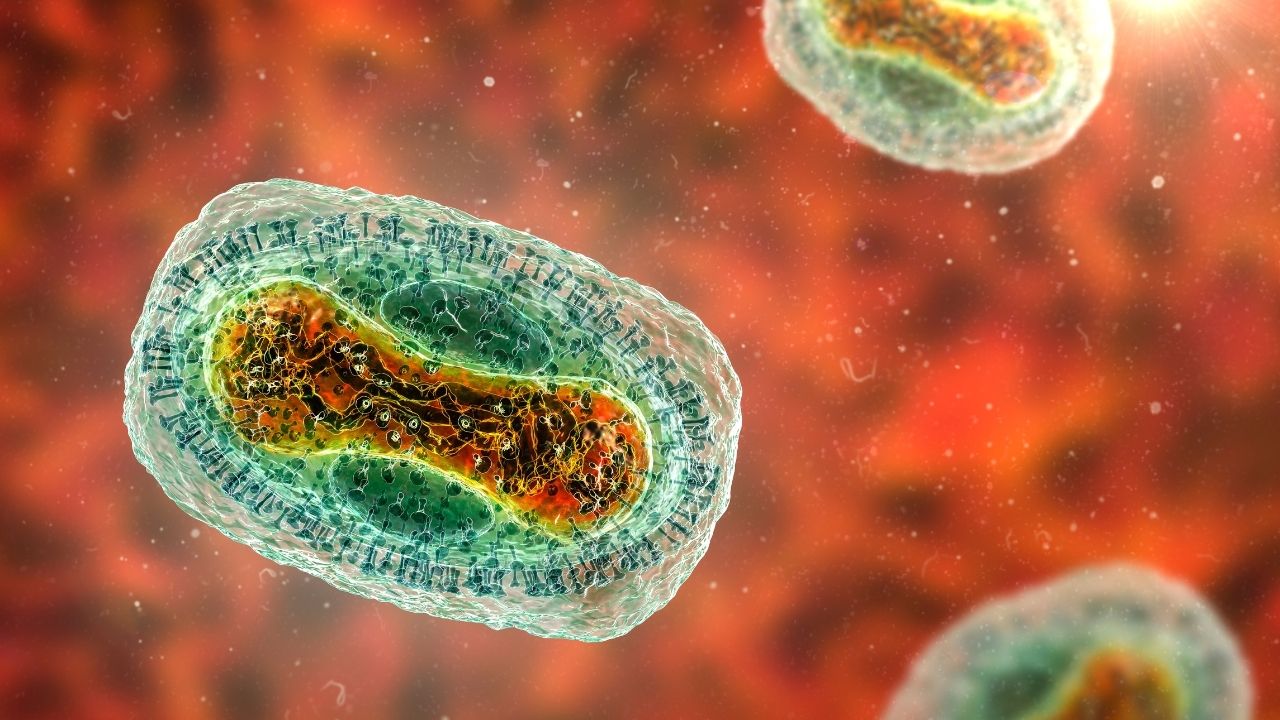 Stanford Makes First AI-Designed Virus to Fight Superbugs